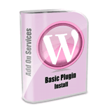 Addon: Basic Plug in or Theme Installation