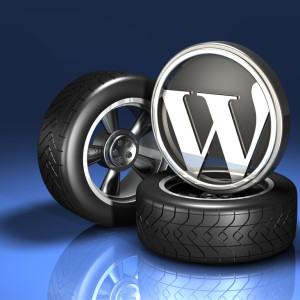 Advanced Monthly WP Maintennace