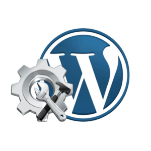 Basic Monthly WP Maintenance