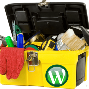 WP Maintenance Tune up